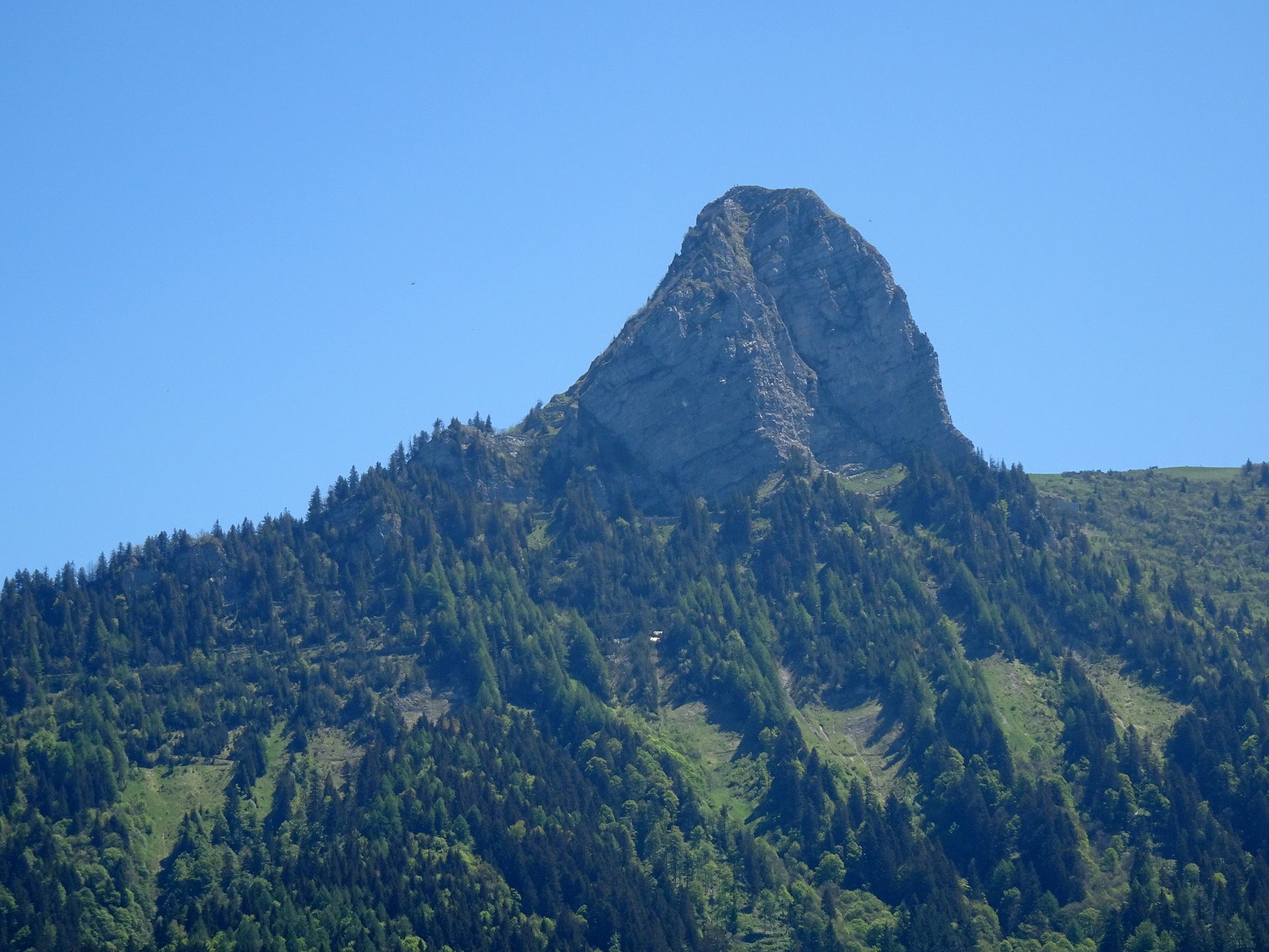 Dent de Jaman, Montreux